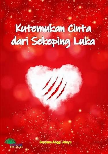 Kutemukan Cinta Dari Sekeping Luka